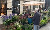 Invasioni Botaniche: anche sotto la pioggia il giardino meraviglia