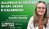 Imenotteri, allergia al veleno: quando il rischio &egrave; reale