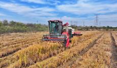 Cina, produzione cerealicola supera 714 mln di tonnellate nel 2025