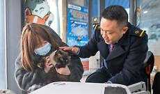 Cina, gli animali domestici adesso possono viaggiare sui treni ad alta velocit&agrave;