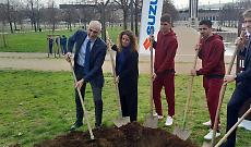 Si allarga il "Bosco diffuso Suzuki", 29 nuovi aceri donati alla citt&agrave; di Torino