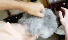 L'anziano lo rimprovera, il 20enne lo spinge a terra: &ldquo;Gesto vile e arrogante&rdquo;