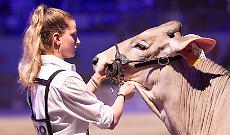 Tutto pronto: il meglio in vetrina