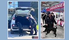 L'Arma dei carabinieri scende in campo contro droga, bullismo, violenza di genere e truffe agli anziani