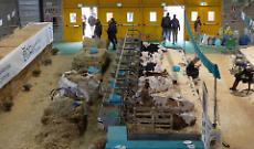 Delegazioni da Usa e Canada alle Fiere Zootecniche Internazionali