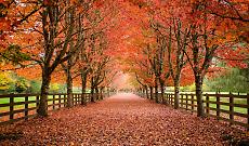 Estate di San Martino al capolinea: dal weekend arriva il maltempo