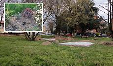 Raid notturni nel verde pubblico: spariscono le siepi