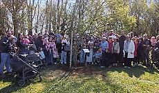 Albero della vita: la festa c&rsquo;&egrave; anche con il crollo di nascite
