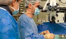Trapianto di cornea, l'ospedale Maggiore punto di riferimento 
