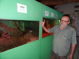 'Un logo per l'Acquario del Po'