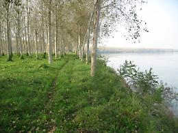 Gea, parte la rassegna sull'ambiente
