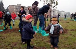 "Il verde pubblico? Lo curiamo noi"
Cremaschi scatenati, esulta il Comune
