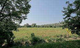 PII Morbasco Sud, il Comune: 'Tutto regolare'