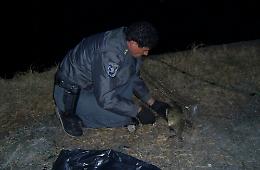 Pescatori di frodo, massima allerta e multe salate