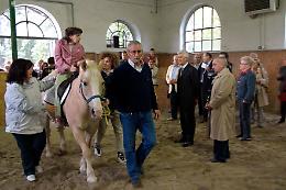 Stalloni, nuova sede al Cre
Ma Ersaf va verso l'addio