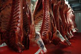 Consumare più carne espone al cancro al colon