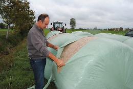 Raid vandalico, squarciate 60 rotoballe