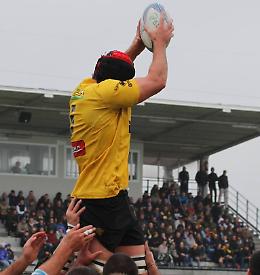 Il Rugby Viadana pronto al ritorno in Europa
