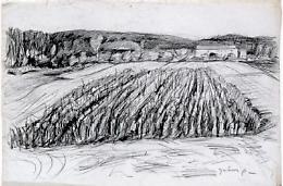 Il paesaggio 'rubato': mostra evento per la fiera di San Carlo