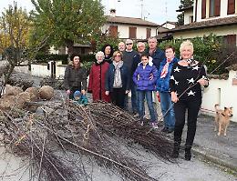 I residenti si autotassano per le piante
