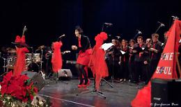 Concerto di natale con Elisa Rovida a villa Mazzucchelli domenica