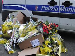 Mimose abusive? Meglio multare chi parcheggia sui marciapiedi