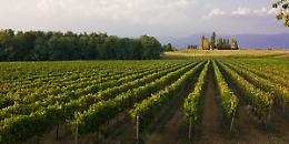 Alla scoperta del Montenetto (Bs) tra vini e sapori