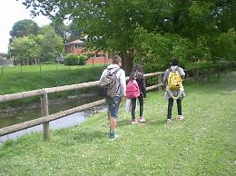 Topi nel parco in via Rampazzini: i residenti alzano la voce