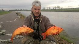 Rete di 50 metri nel canale, salvati decine di pesci