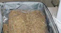 In valigia 30kg di marijuana, arrestata 27enne cremonese