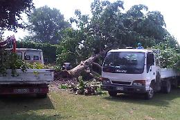 Violento temporale, alberi crollati e danni in via Baldesio