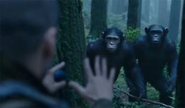 Apes Revolution: il pianeta delle scimmie