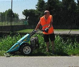 Incrocio pericoloso? Il sindaco taglia l'erba