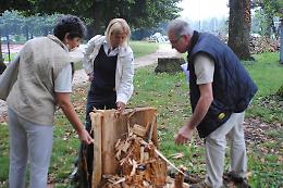 Prosegue la messa in sicurezza degli alberi al Campo Scuola