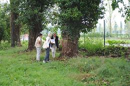 Le immagini del sopralluogo e degli alberi del Campo Scuola