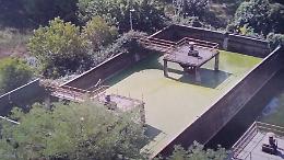 Bomba ecologica in paese