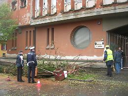 Le immagini della pianta caduta davanti all'asilo Sant'Ambrogio