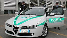 Cane investito, il padrone distrugge l'auto e aggredisce l'automobilista