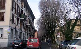 Rami ‘pericolosi’ in via Griffini