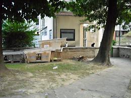 Le immagini della colonia felina