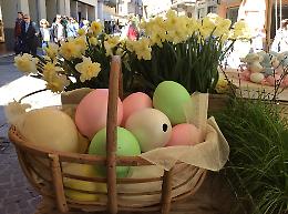 'Le Invasioni Botaniche' - Primo giorno