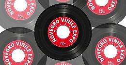 Segrate (MI). Al Parco Esposizioni Novegro il 'Vinile Expo'