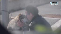 Tu lo abbandoni lui ti perdona, chi &egrave; la bestia? Lo spot degli Animalisti italiani