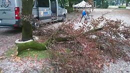 Verde 'pericoloso',  serie di interventi in arrivo