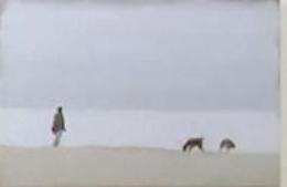 Il &lsquo;Mare ed altri racconti&rsquo;, Biagi espone al Triangolo