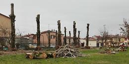 Pioppi via, il quartiere protesta