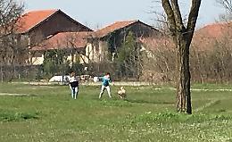 Cani e padroni, &egrave; giro di vite