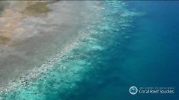 Australia: la Grande Barriera corallina si sta sbiancando