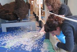 Corso d’acqua al museo