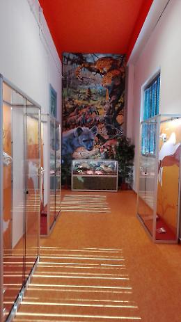 L'inaugurazione al museo della sezione 'Carnivori del Po'